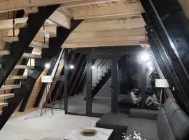 Cozzy LUX apartment near the Airport Podgorica