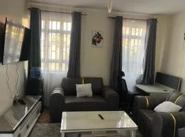 Sahel Executive Studio apartment with separate kitchen and bathroom in another section from the main room for cheap accommodation in Elgon View near Eldoret sports club,Rapha Hospital, Naivas supermarket, rupha mall, and Eldoret International Airport