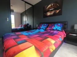 T2 Cosy romantic, balcon,clim, parking gratuit