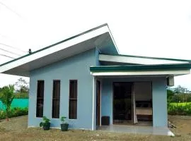 The Slothie's House