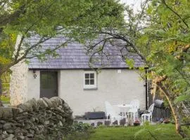 Cwt Mochyn