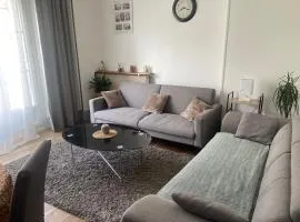 Appartement spacieux cosy centre Epinal !!!