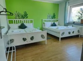 Dschungel-Apartment Steubenstr 13