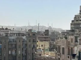 Urban oasis - near Tahrir Square