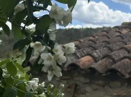 Casa de Campo en un Paraje Natural