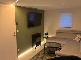 Modern room with terrace