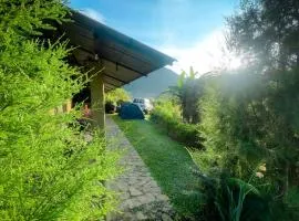 Royal Mountain Edge ,Knuckles