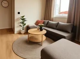 Modern apartment in the middle of the city center