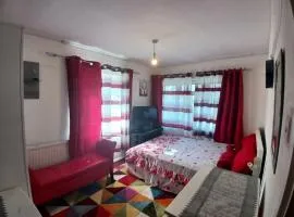 Charming London Guest Room with Garden BBQ