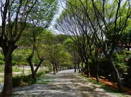 Riverside Forest Pension Camping