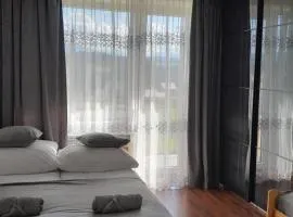 Apartamenty w Pieninach - 2 sypialnie