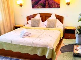 Pensiunea Roșu Litoral, hotell i Douăzeci şi Trei August