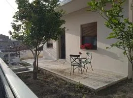 The House with the Terrace &The Garden