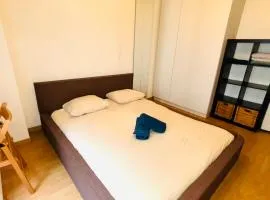 Appartement Tour Eiffel ALESIA PARIS