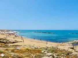 Elegant beachside apt - 1 min walk to Venus beach