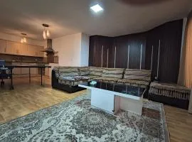 Shafa Badran Studio