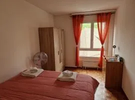 Room for rent with panoramic view lake Vevey