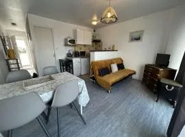 Appartement 2 pièces avec balcon, proche plage - FR-1-224B-563