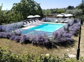 B&B Il Gelso Country House