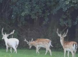 Creebridge Caravan Park, villa in Newton Stewart