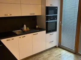 Residence Kobrova with free parking