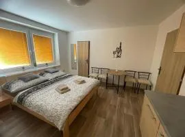 Apartmán u Dejva Zaječí