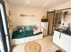 F2/4 pers plage-commerces à pieds-parking privé
