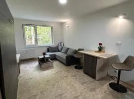 Apartmán pod Jáchymovem
