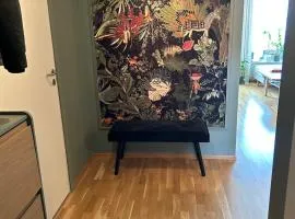 One bedroom apartment close to city centrum