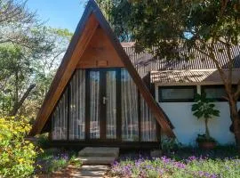 Vạn Tùng Homestay & Café
