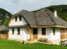 Pensiunea Hodăița