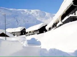 Røldal ski in ski out