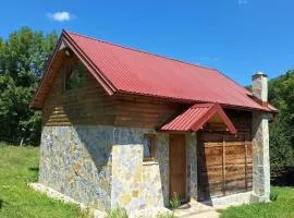 Charming village house