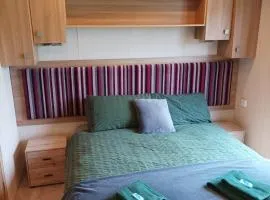 Cozy Caravan - Bright