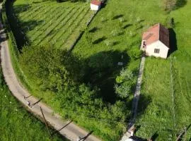 Green Little Cottage
