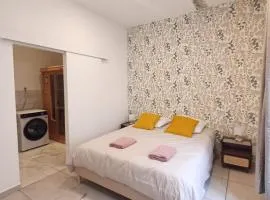 Charmant T2 cosy avec sauna privé & cour en plein cœur de la ville