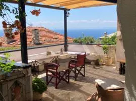 lemon garden with view