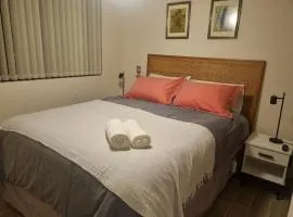 Departamento moderno y central en Chillan