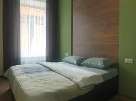 Cozy apartment near the center
