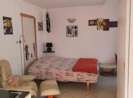 STUDIO ST GREGOIRE Au Pied des Vosges et Vignoble !