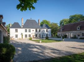 Le Château du Sollier - Charme calme et confort climatisation à 5mn du peage, hotel que admite mascotas en Bourges