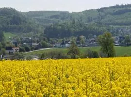 gemütliche Dachgeschoss- Ferienwohnung im Grünen