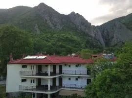 Enastron Hotel