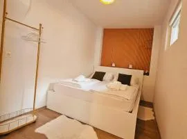 Ljubljana Center Budget Apartment