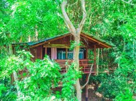 Jungle Host Hostel And Tree House