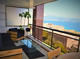Grand T2 STANDING AJACCIO Proche centre et plages VUE PANORAMIQUE PARKING PRIVE