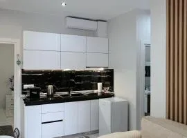 White and Cozy Apartment
