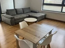 CityPark Apartment, free parking & AC