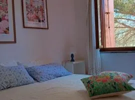 Cozy Rooms