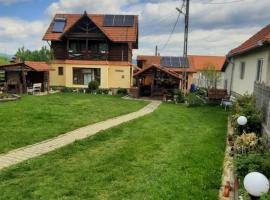 Cabana Ollie Retezat, hotel en Rîu Bărbat